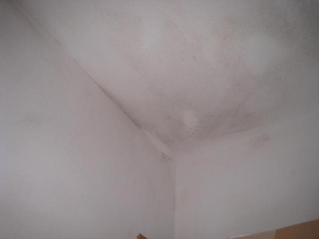Some apparent mold in the closet.